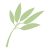 Small green leaf icon